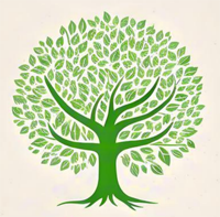 12mm Packaging Plywood